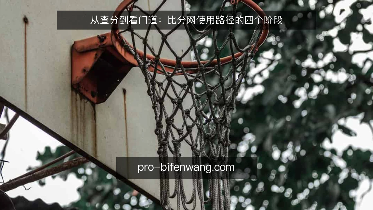 从查分到看门道:比分网使用路径的四个阶段