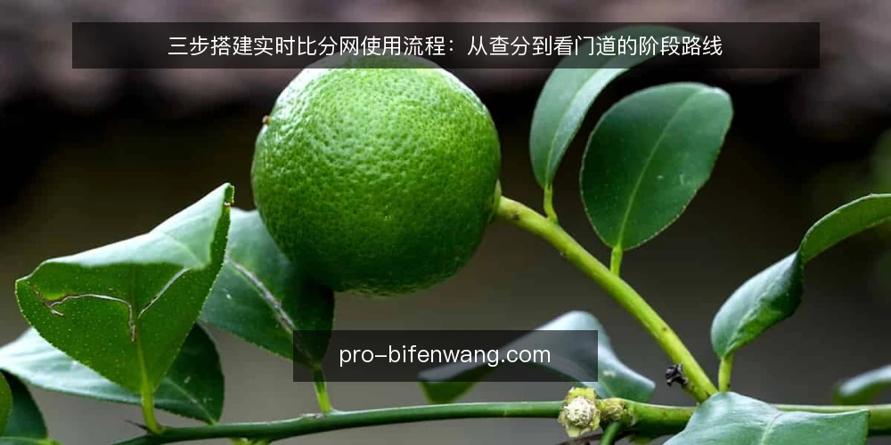 三步搭建实时比分网使用流程:从查分到看门道的阶段路线 — 准备:明确使用场景与数据需求 配图