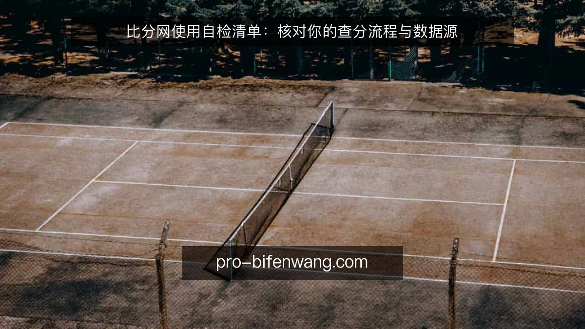 比分网使用自检清单：核对你的查分流程与数据源